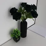 Apartament Leni's